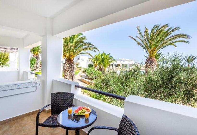 マウンテンビュースタンダードルーム, Irini