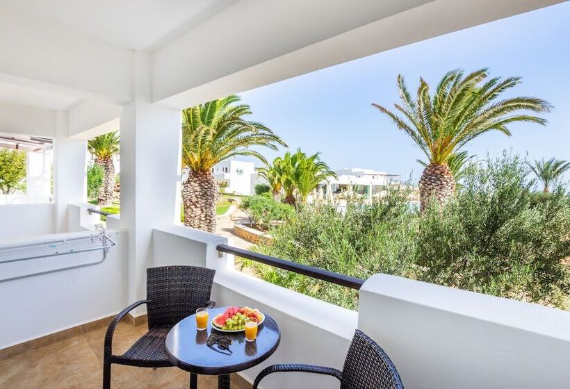 マウンテンビュースタンダードルーム, Irini