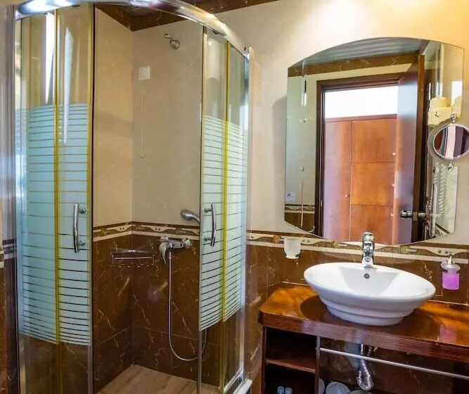 Camera Standard Vista Mare, Irini