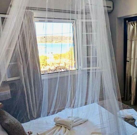 اتاق استاندارد, Notara