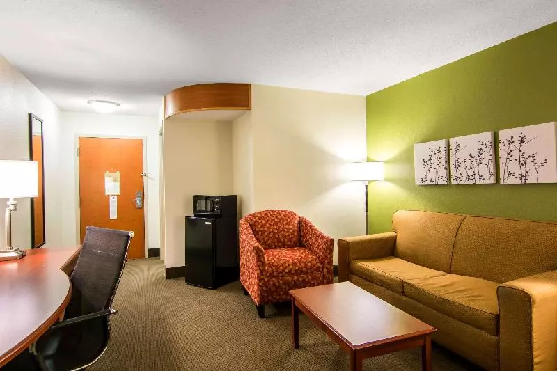 キングサイズベッドのスイートルーム, Sleep Inn & Suites Near Fort Greggadams