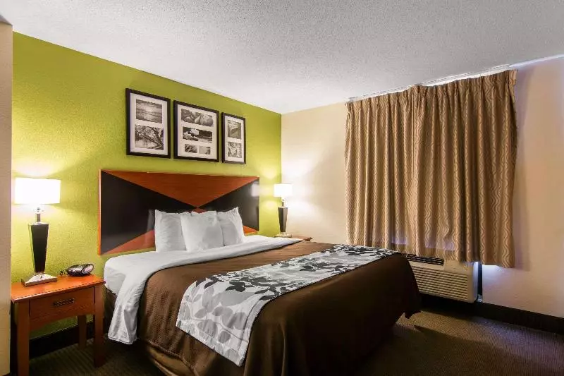 キングサイズベッドのスイートルーム, Sleep Inn & Suites Near Fort Greggadams