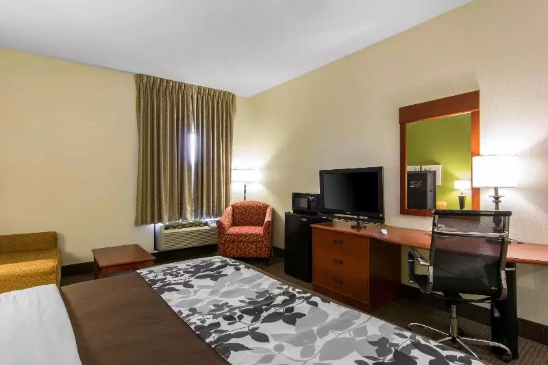 キングサイズベッドのスタンダードルーム, Sleep Inn & Suites Near Fort Greggadams