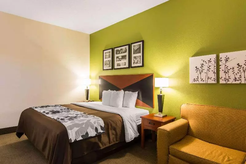 キングサイズベッドのスタンダードルーム, Sleep Inn & Suites Near Fort Greggadams