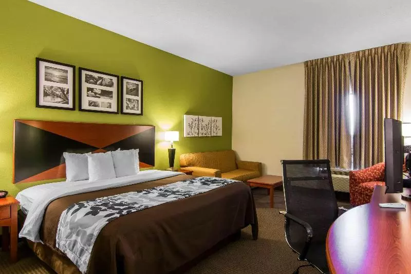 キングサイズベッドのスタンダードルーム, Sleep Inn & Suites Near Fort Greggadams