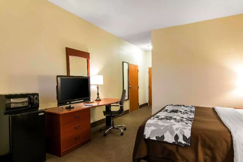 キングサイズベッドのスタンダードルーム, Sleep Inn & Suites Near Fort Greggadams