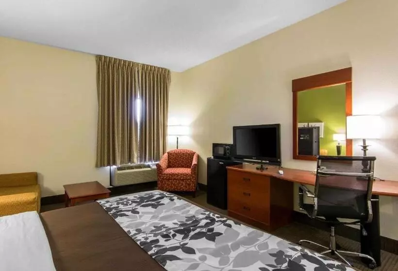 キングサイズベッドのスタンダードルーム, Sleep Inn & Suites Near Fort Greggadams