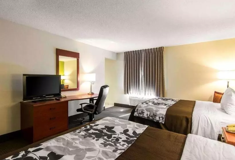 ２ダブルベッドのスタンダードルーム, Sleep Inn & Suites Near Fort Greggadams