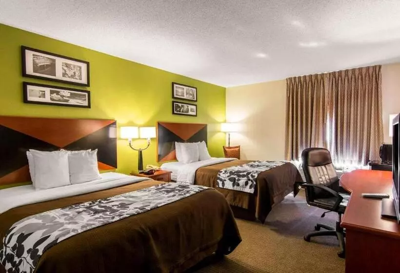 スタンダードルーム, Sleep Inn & Suites Near Fort Greggadams
