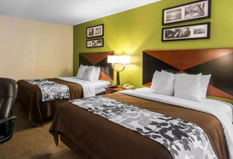 スタンダードルーム, Sleep Inn & Suites Near Fort Greggadams