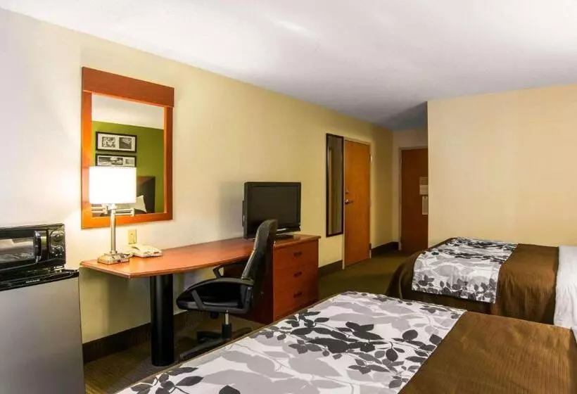 スタンダードルーム, Sleep Inn & Suites Near Fort Greggadams