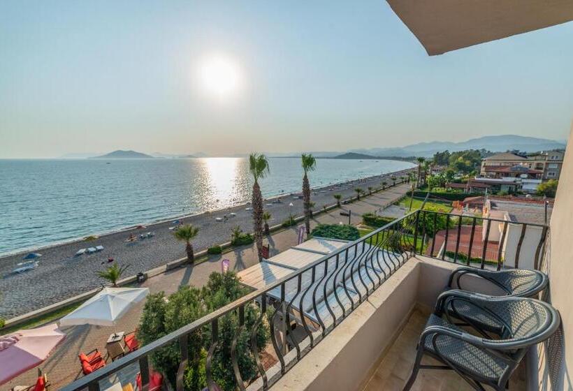 غرفة قياسية داخلية, Yasemin