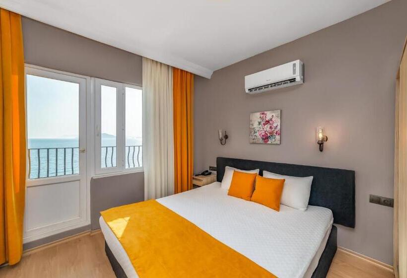 غرفة قياسية داخلية, Yasemin