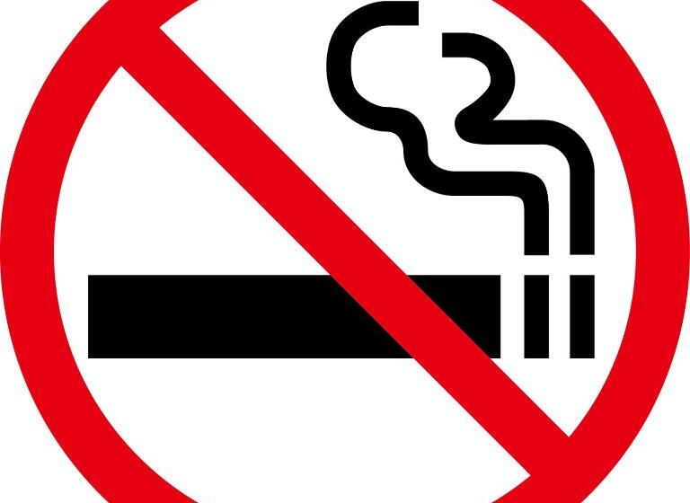 غرفة قياسية, Ikawa Ryokan