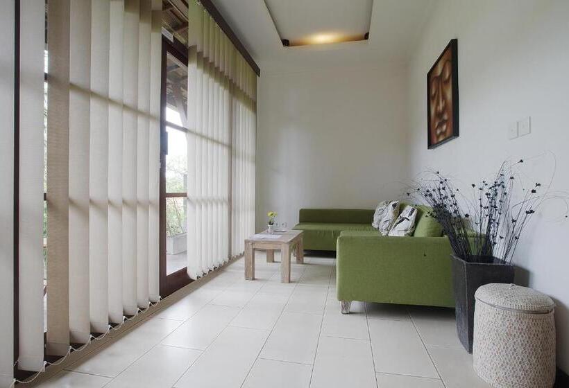 Suite Superior, The Studio