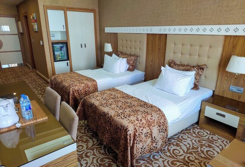 اتاق استاندارد, Graaf