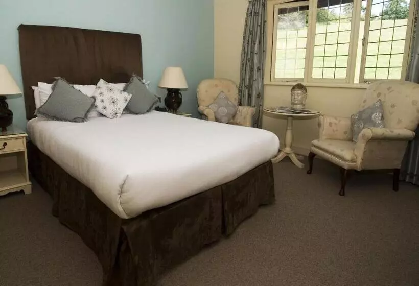 スタンダードルーム, Cwrt Bleddyn Hotel & Spa