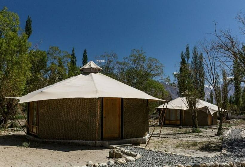 בקתת דלוקס בת חדר 1, Chalet Seabuckthorn