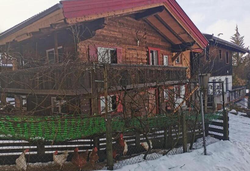 منزل غرفة نوم واحدة, Kaiserhaus Harald Astner Ebbs Studio 1