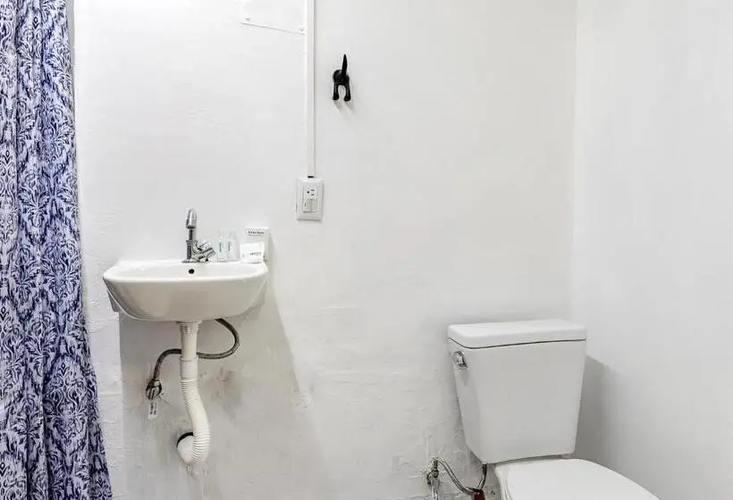 اتاق استاندارد, Oasis Airport