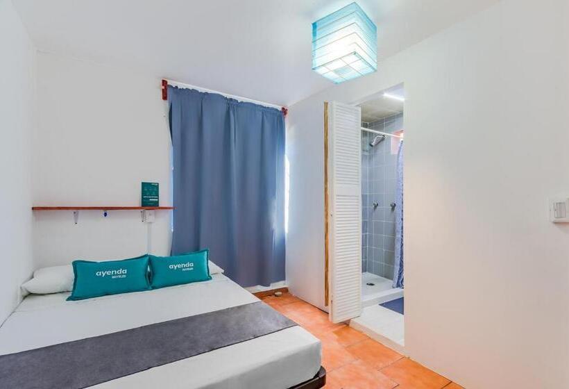 Номер Стандарт, Oasis Airport