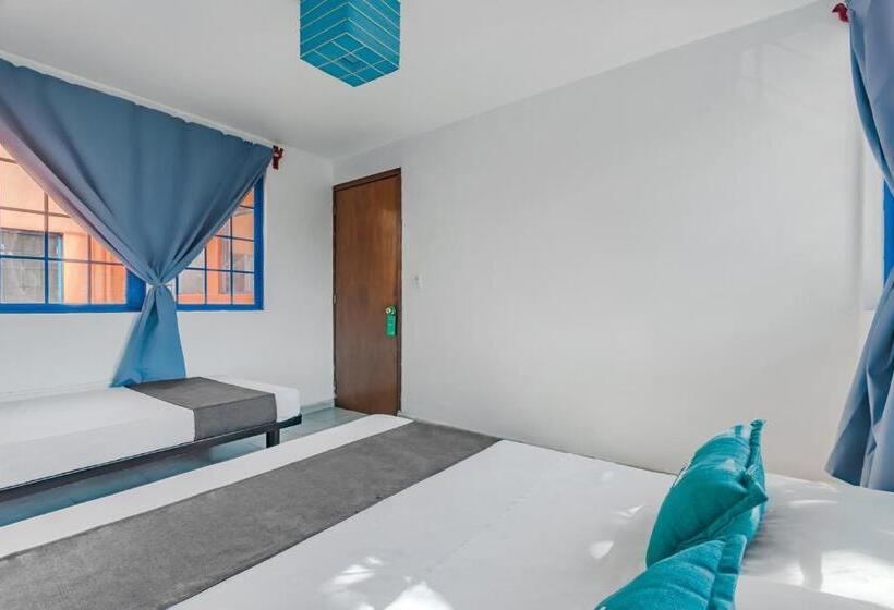 Трежместный Номер Economy, Oasis Airport