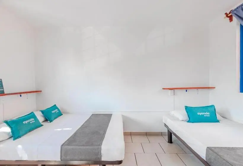 Economy Triple Room, Oasis Airport