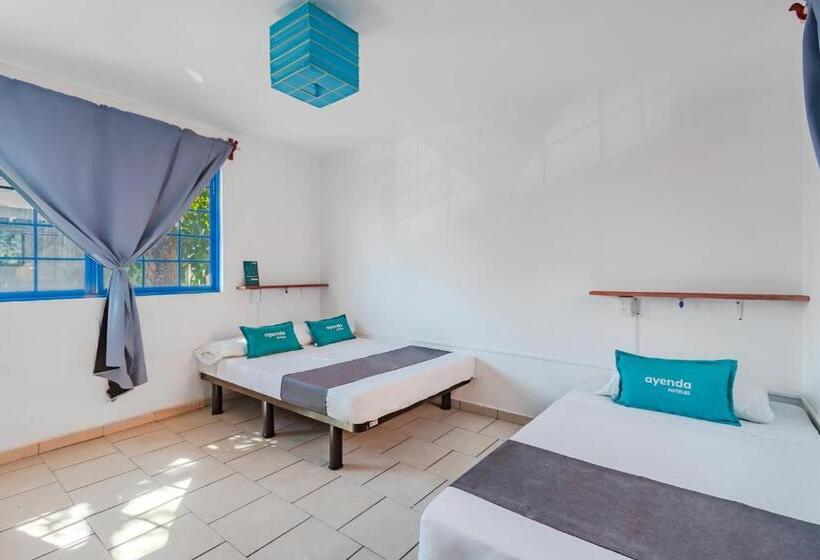 Трежместный Номер Economy, Oasis Airport