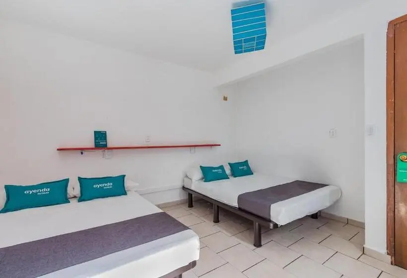 Economy Quadruple Room, Oasis Airport