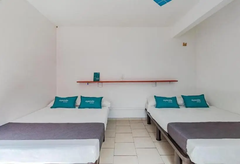 Economy Quadruple Room, Oasis Airport
