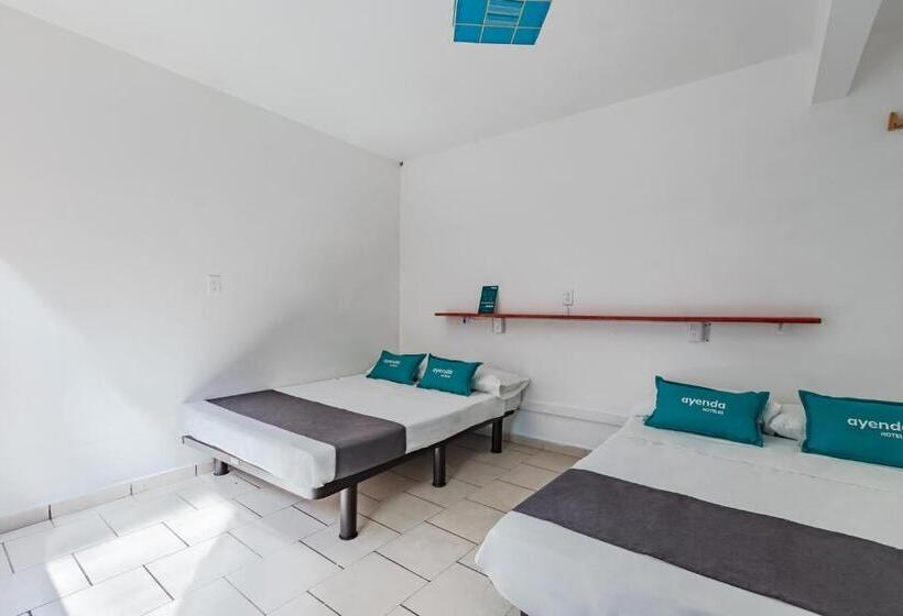 Четырехместный Номер Economy, Oasis Airport