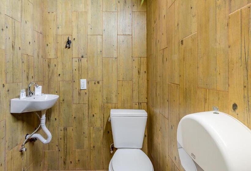 Четырехместный Номер Стандарт, Oasis Airport