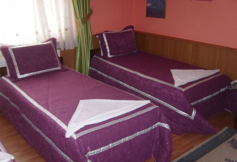 اتاق استاندارد یک نفره, Aspawa