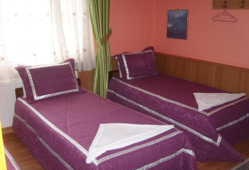 اتاق استاندارد, Aspawa