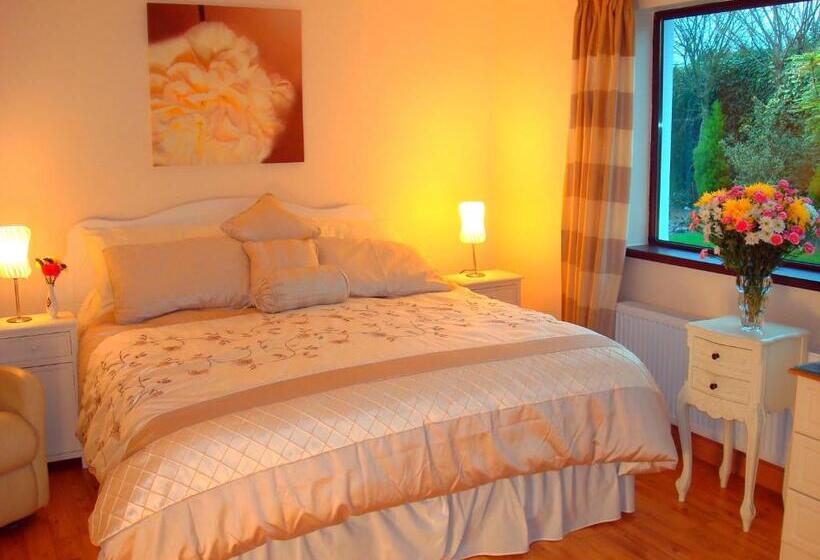스탠다드 룸, Athlumney Manor Guest Accommodation