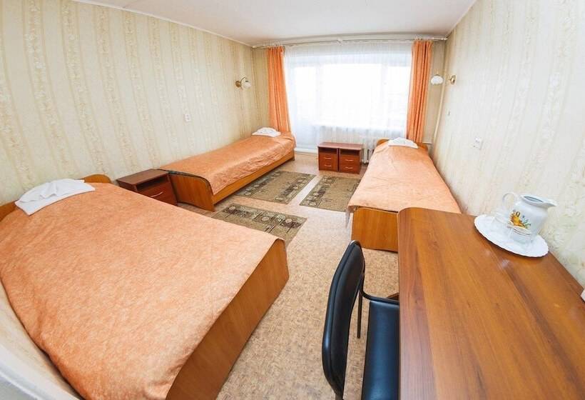 חדר סטנדרט לשלושה, Barguzin