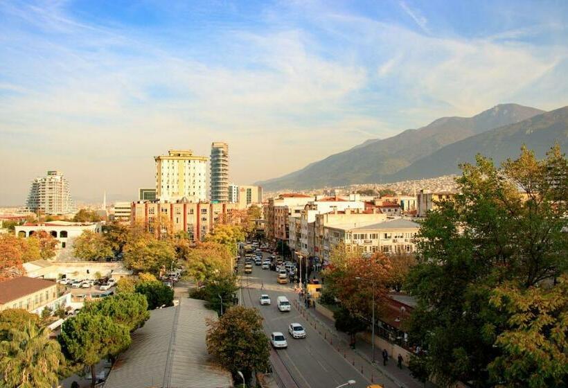 اتاق استاندارد, Burcman