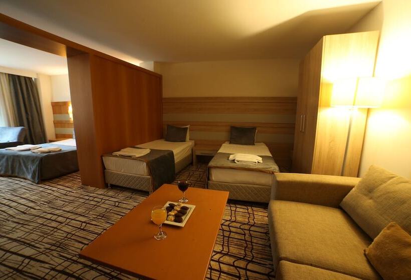 اتاق خانوادگی, Burcman