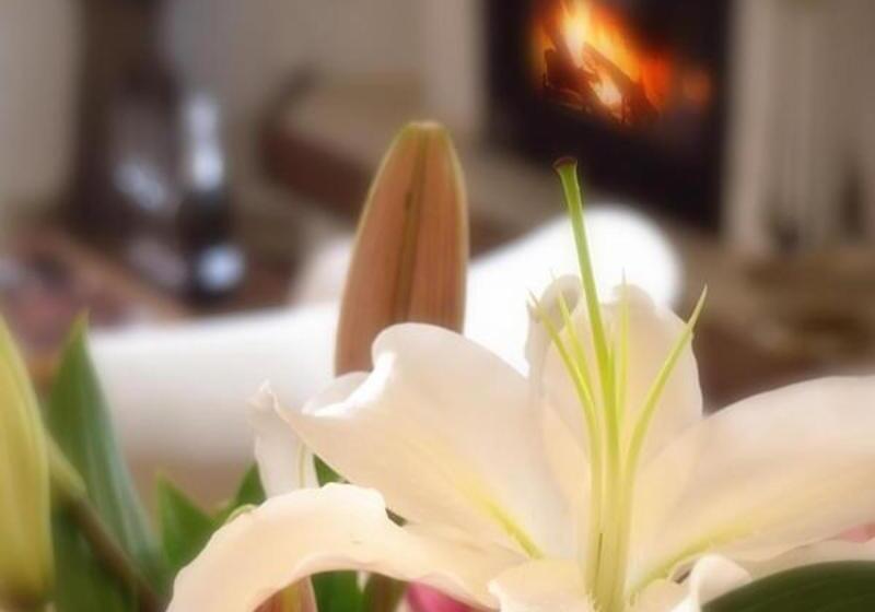 סוויטת דלוקס נוף הרים, Delina Mountain Resort