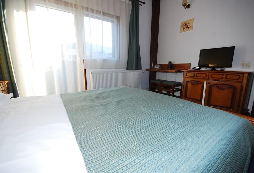 Номер Стандарт, Regina