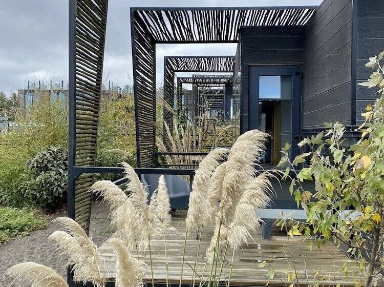 اتاق استاندارد, Taka Matanzas