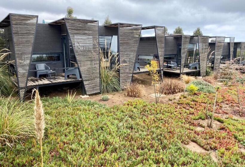 سوییت با چشم‌انداز دریا, Taka Matanzas