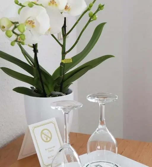 ２ベッドルームアパートメント, Landhaus Ellernkrug