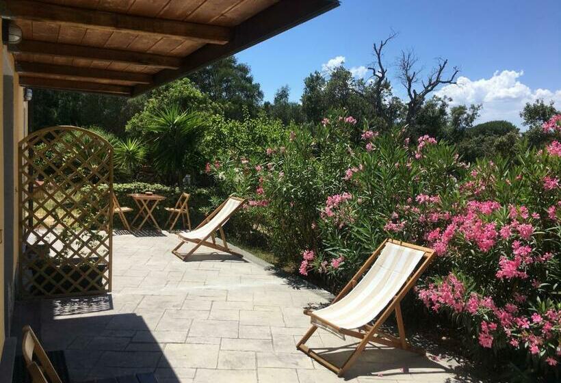 חדר סטנדרט, B&b Tavolara