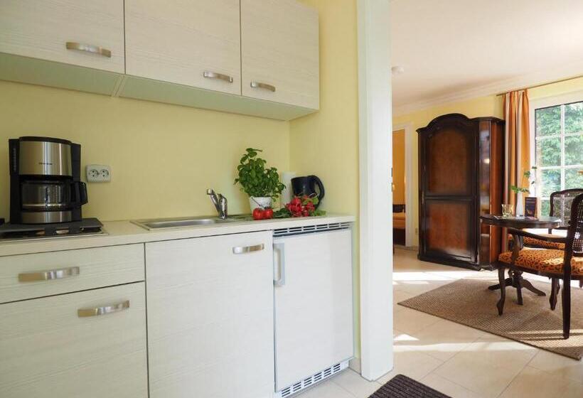 テラス付き１ベッドルームアパートメント, Villa Desny