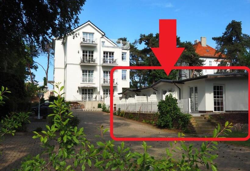 テラス付き１ベッドルームアパートメント, Villa Desny