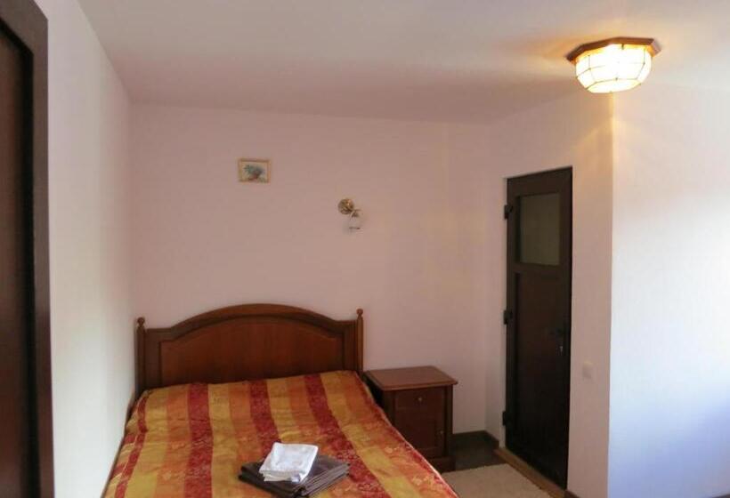 غرفة أساسية, Cetina