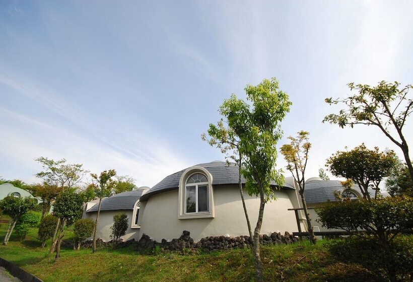 Семейный Номер, Aso Farm Land