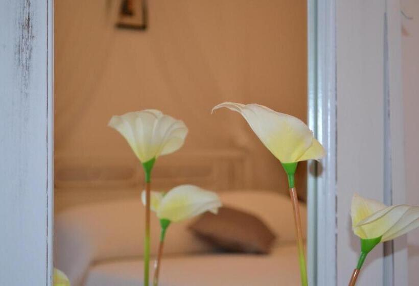 Single Interior Room, Dream Island