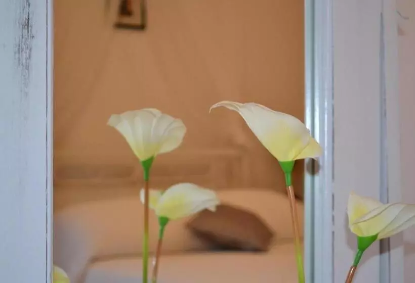 Single Interior Room
